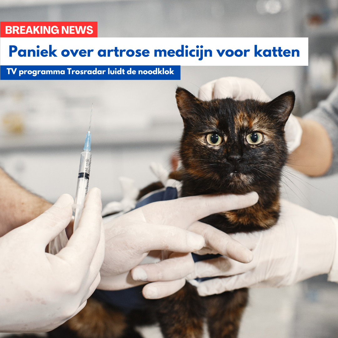 paniek over solensia voor katten met gewrichtsklachten