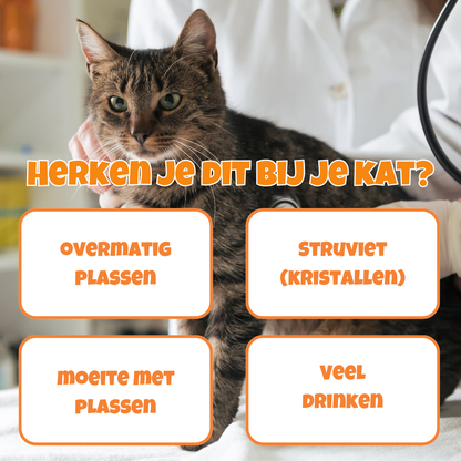 Bladder support - helpt bij een goede blaasgezondheid bij katten