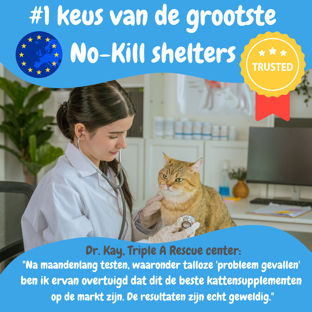 10in1 Multivitamine - optimale gezondheid en vitaliteit voor katten die wel een steuntje in de rug kunnen gebruiken