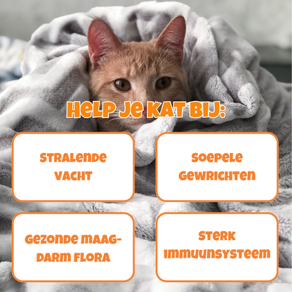 10in1 Multivitamine - optimale gezondheid en vitaliteit voor katten die wel een steuntje in de rug kunnen gebruiken