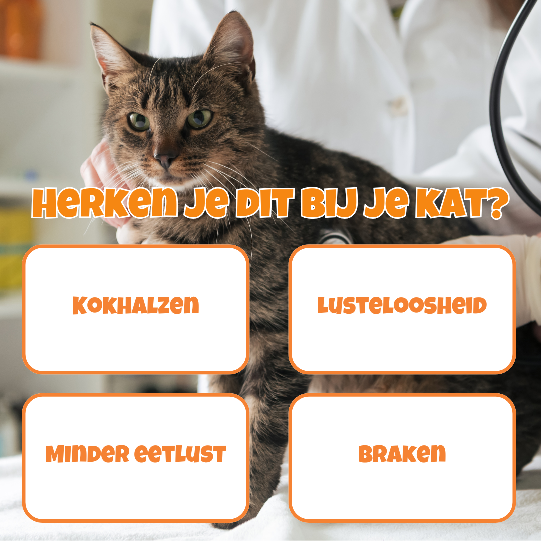 Feli-fix hairball - haarballen en kuchen zijn verleden tijd voor je kat