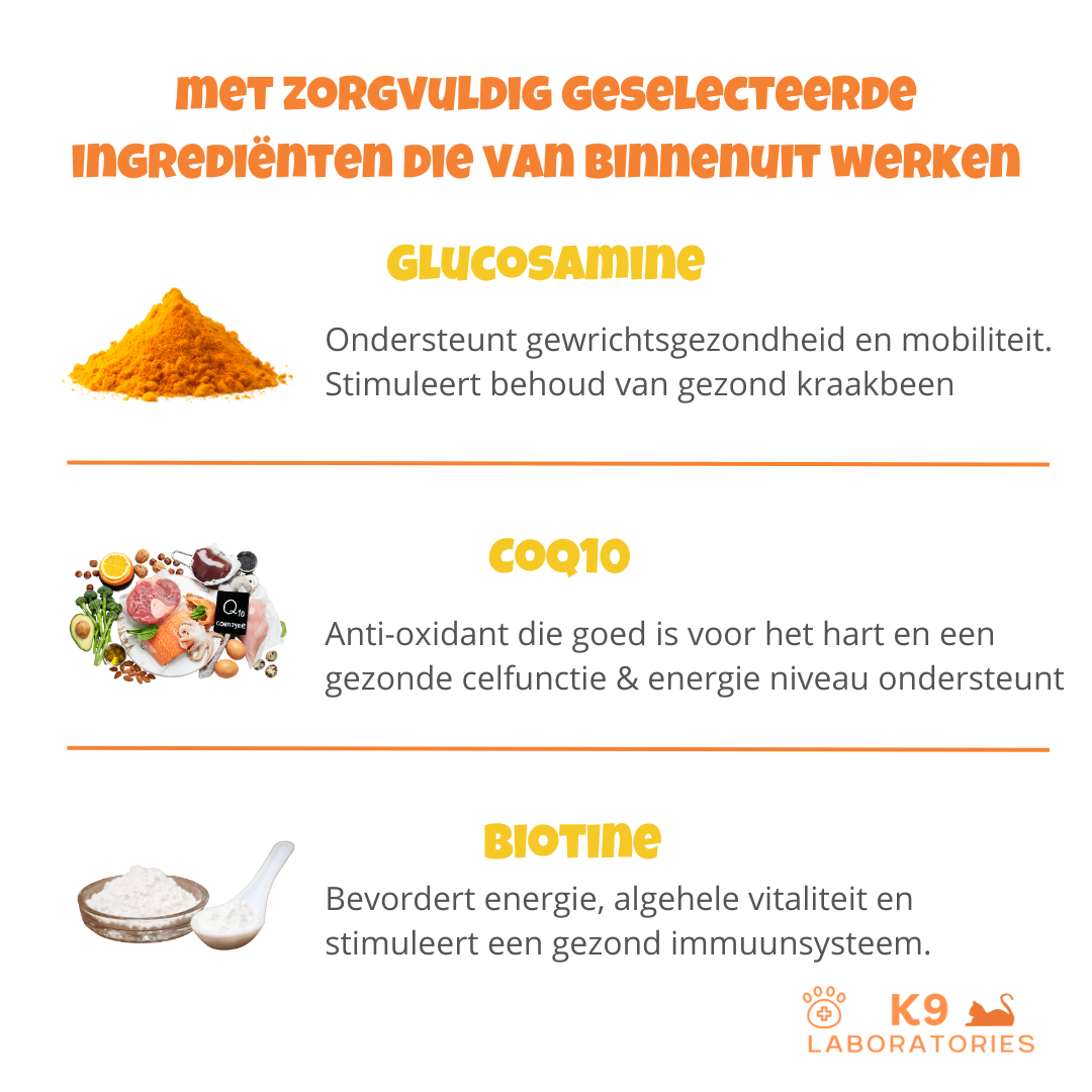 10in1 Multivitamine - optimale gezondheid en vitaliteit voor katten die wel een steuntje in de rug kunnen gebruiken