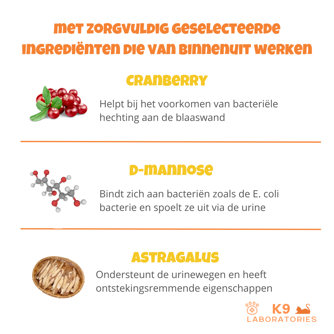 Bladder support - helpt bij een goede blaasgezondheid bij katten