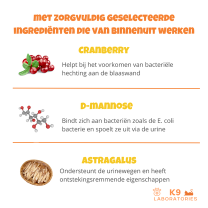 Bladder support - helpt bij een goede blaasgezondheid bij katten