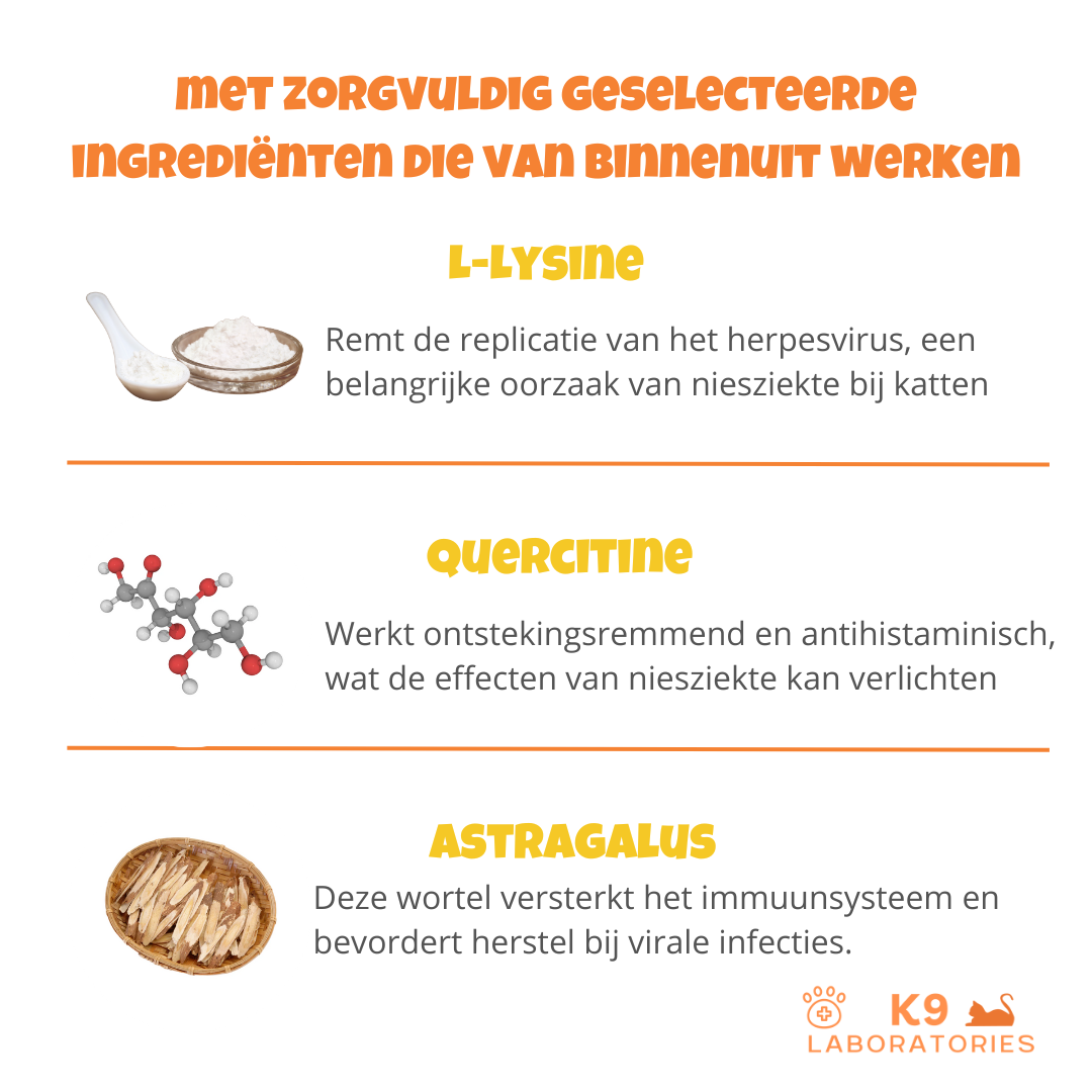SneezeX - stop het gevaarlijke niezen bij je kat