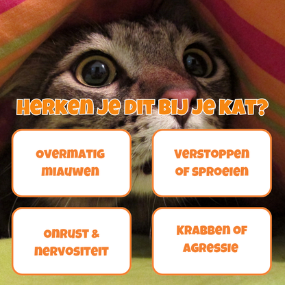 Calming Complex - stop onrust, agressie, verstoppen of sproeien bij je kat