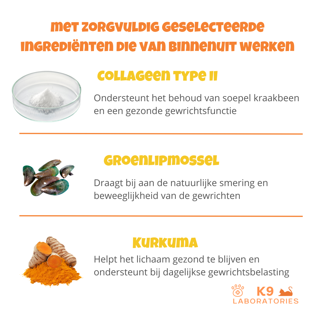 Joint Mobility - Natuurlijk gewrichtssupplement - laat katten weer springen en klimmen als jonge kittens