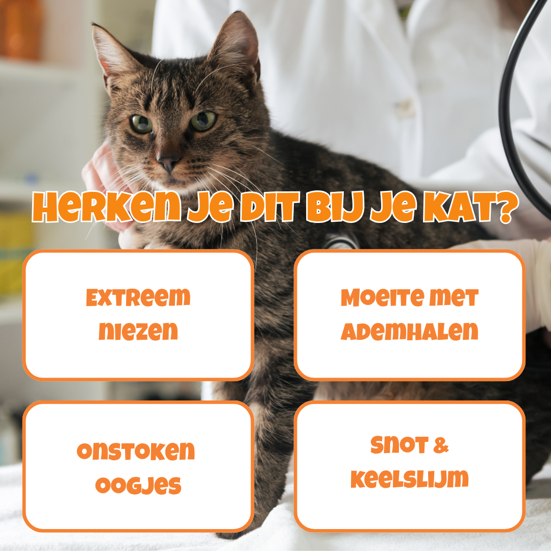 SneezeX - stop het gevaarlijke niezen bij je kat