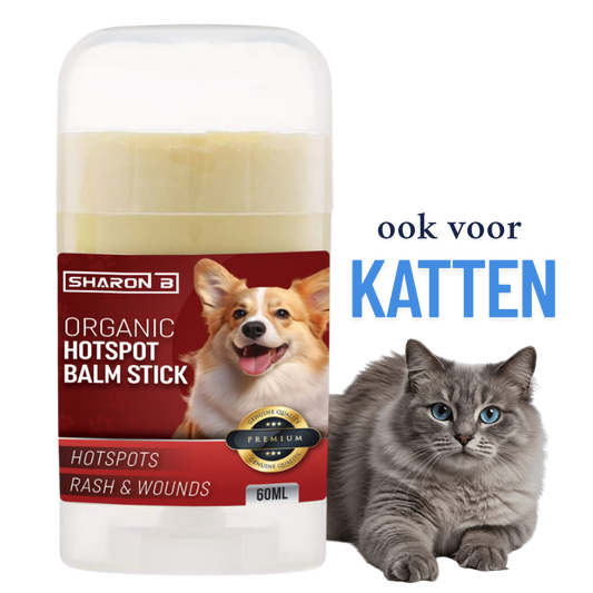 Hotspot Stick 60 ml - herstelt hotspots en wondjes binnen 48 uur zonder vieze handen