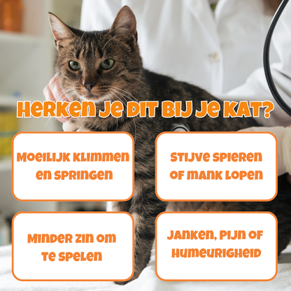 Joint Mobility - Natuurlijk gewrichtssupplement - laat katten weer springen en klimmen als jonge kittens